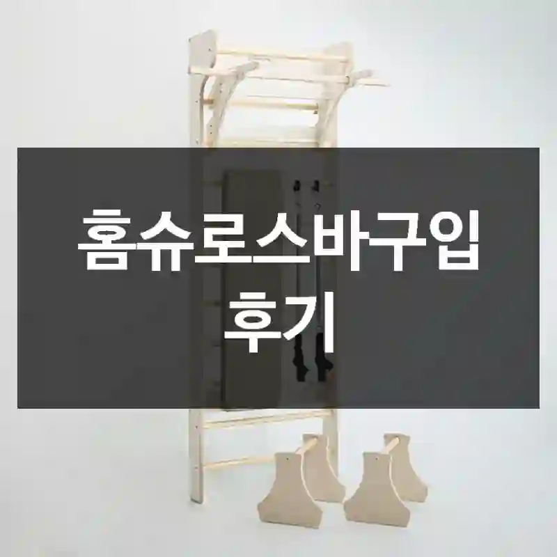홈슈로스바구입 후기