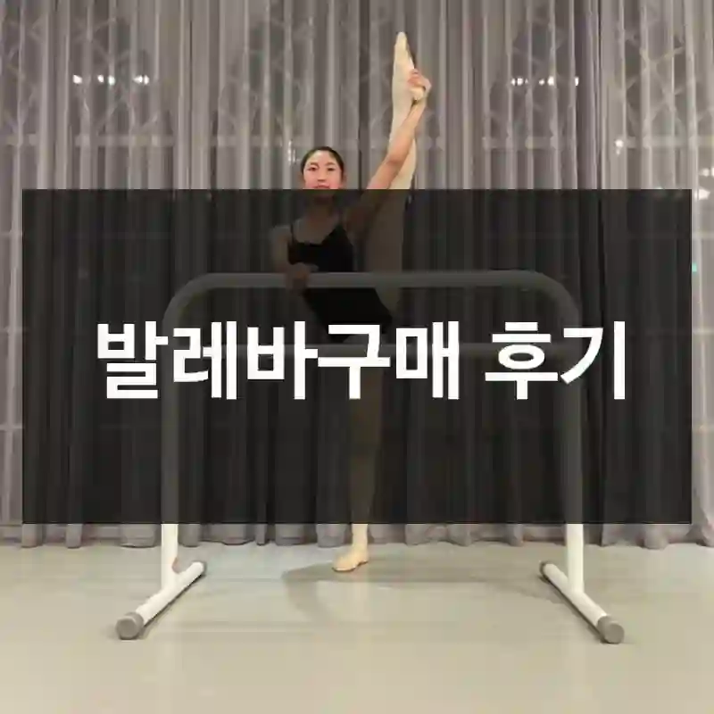 발레바구매 후기