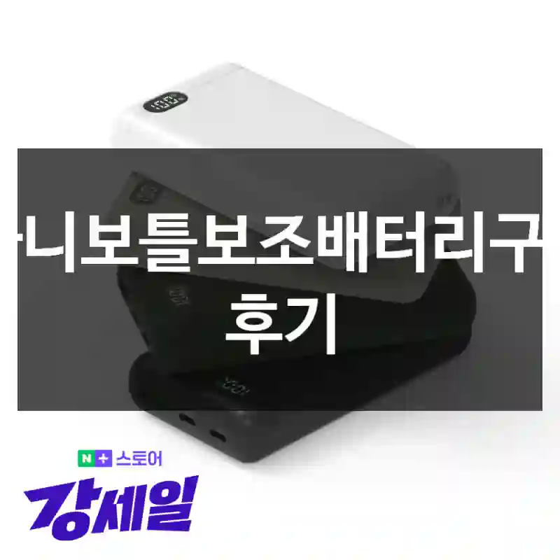 빠니보틀보조배터리구입 후기