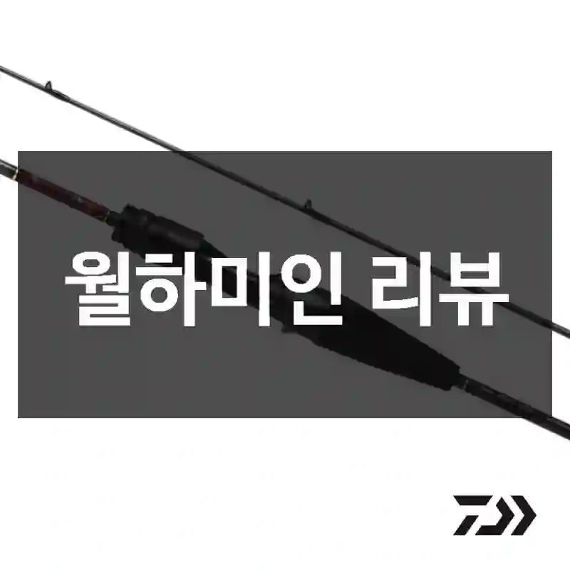 월하미인 리뷰