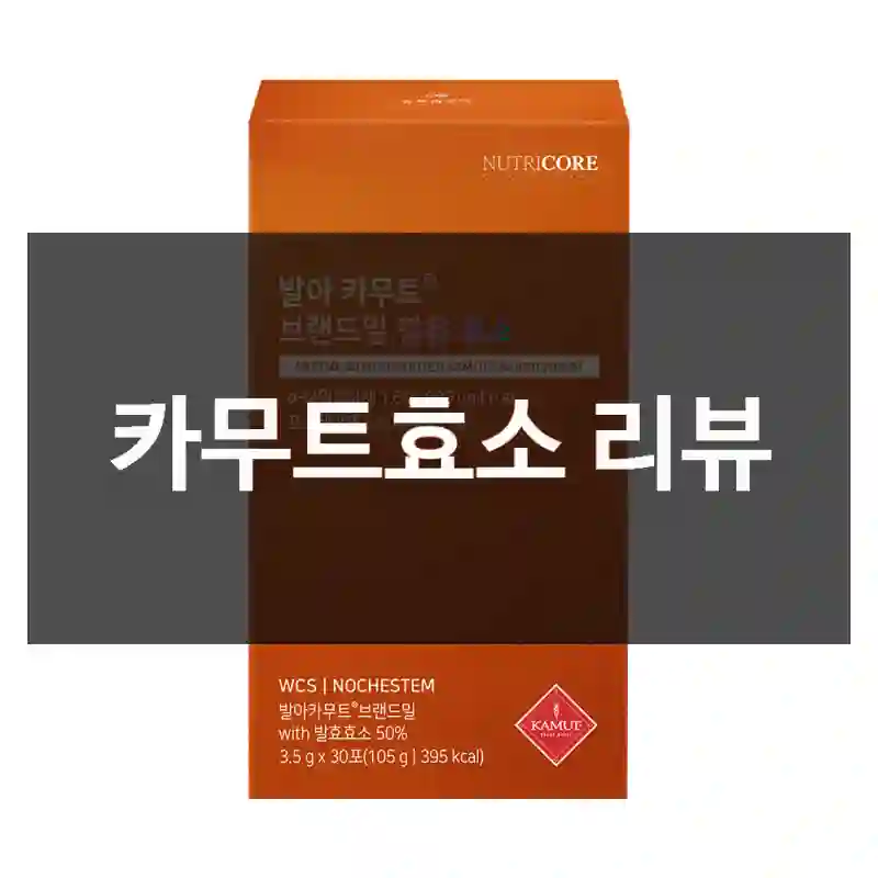 진짜 실화냐… 카무트효소 체험 리뷰-