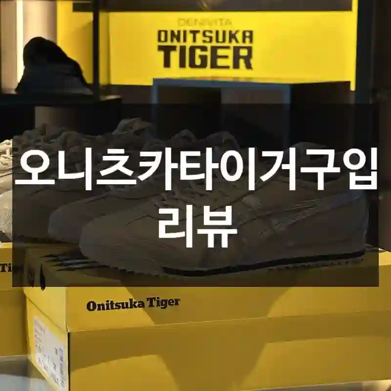 오니츠카타이거 오니츠카타이거-이건 인정
