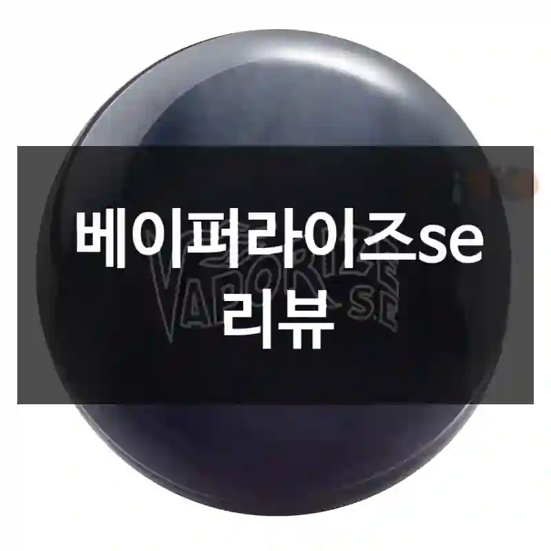 베이퍼라이즈se 리뷰