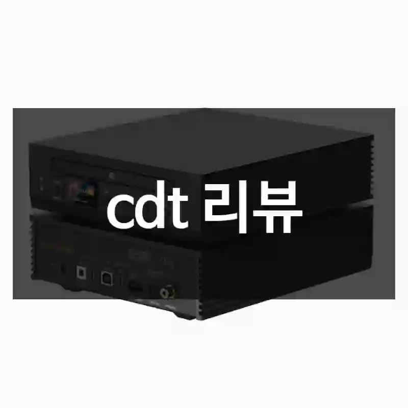 cdt 리뷰
