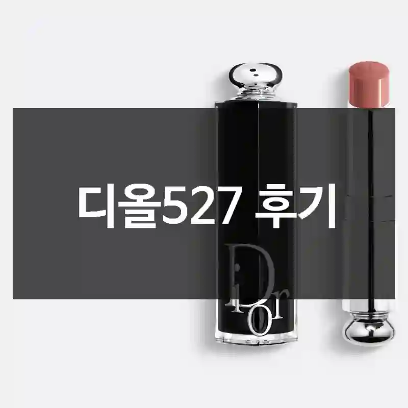 비슷한 제품 많이 써봤는데 디올527 경험담