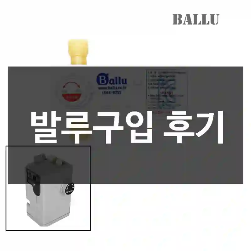 발루구입 후기