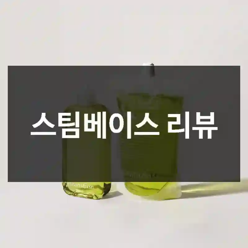 스팀베이스 리뷰