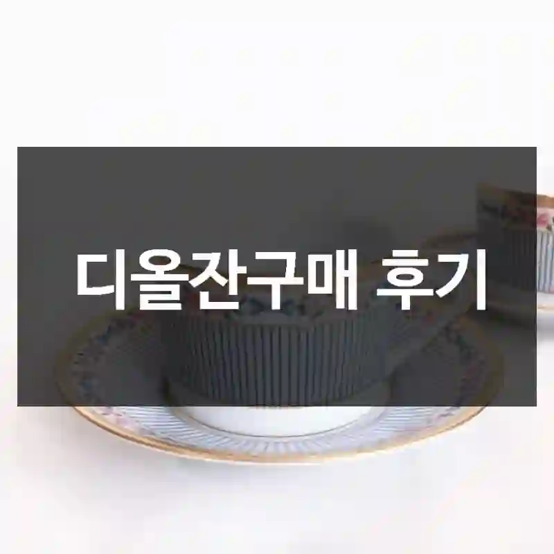 디올잔구매 후기